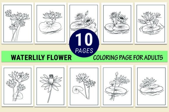 Waterlily Drawing Coloring Pages: A Versatile Vector Resource for Creative Professionals and Print-on-Demand Entrepreneurs